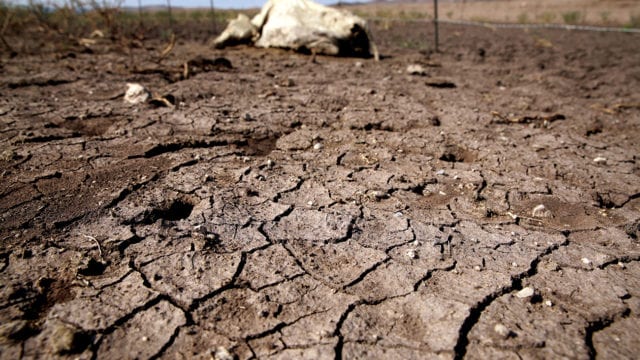 Foto : © José Luis González / Reuters