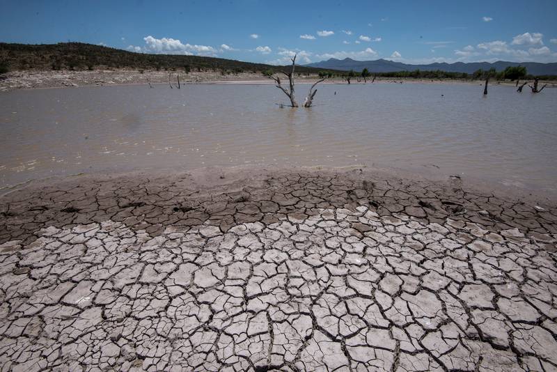 Actualmente, el 77 por ciento de la población vive en zonas donde la disponibilidad del agua es menor. (EFE)