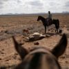 Un agricultor observa el cadáver de su ganado en el rancho de Santa Bárbara, un área afectada por la sequía cerca de Camargo, en el estado de Chihuahua, México.JOSE LUIS GONZALEZ / REUTERS