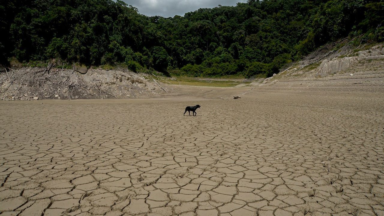 Escasa infraestructura y saneamiento agudizan problemas de agua en México. Foto: EFE/Carlos López