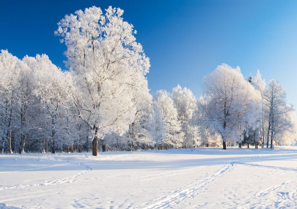 Temperaturas extremosas en febrero, resaltando potencial de frío ártico con nevadas y heladas.