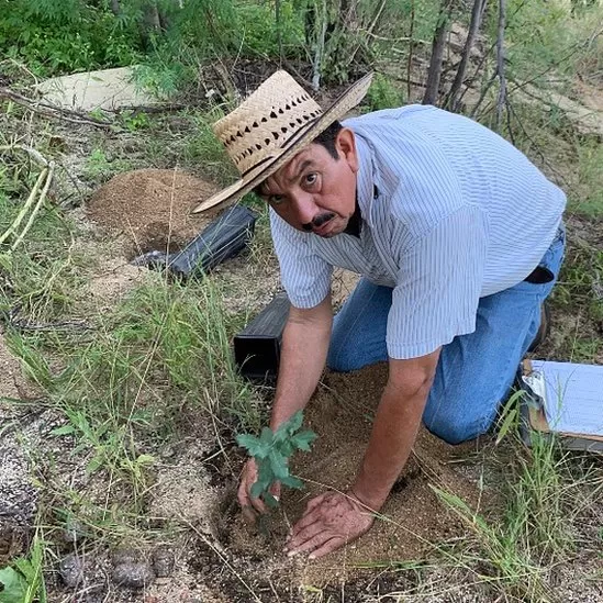 Abelino Cota es uno de los miembros de la comunidad que ha plantado encinos arroyeros.