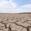 Casi la mitad del país padece sequía. (Cuartoscuro)