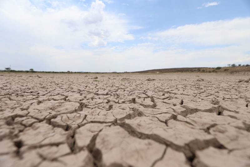 Casi la mitad del país padece sequía. (Cuartoscuro)