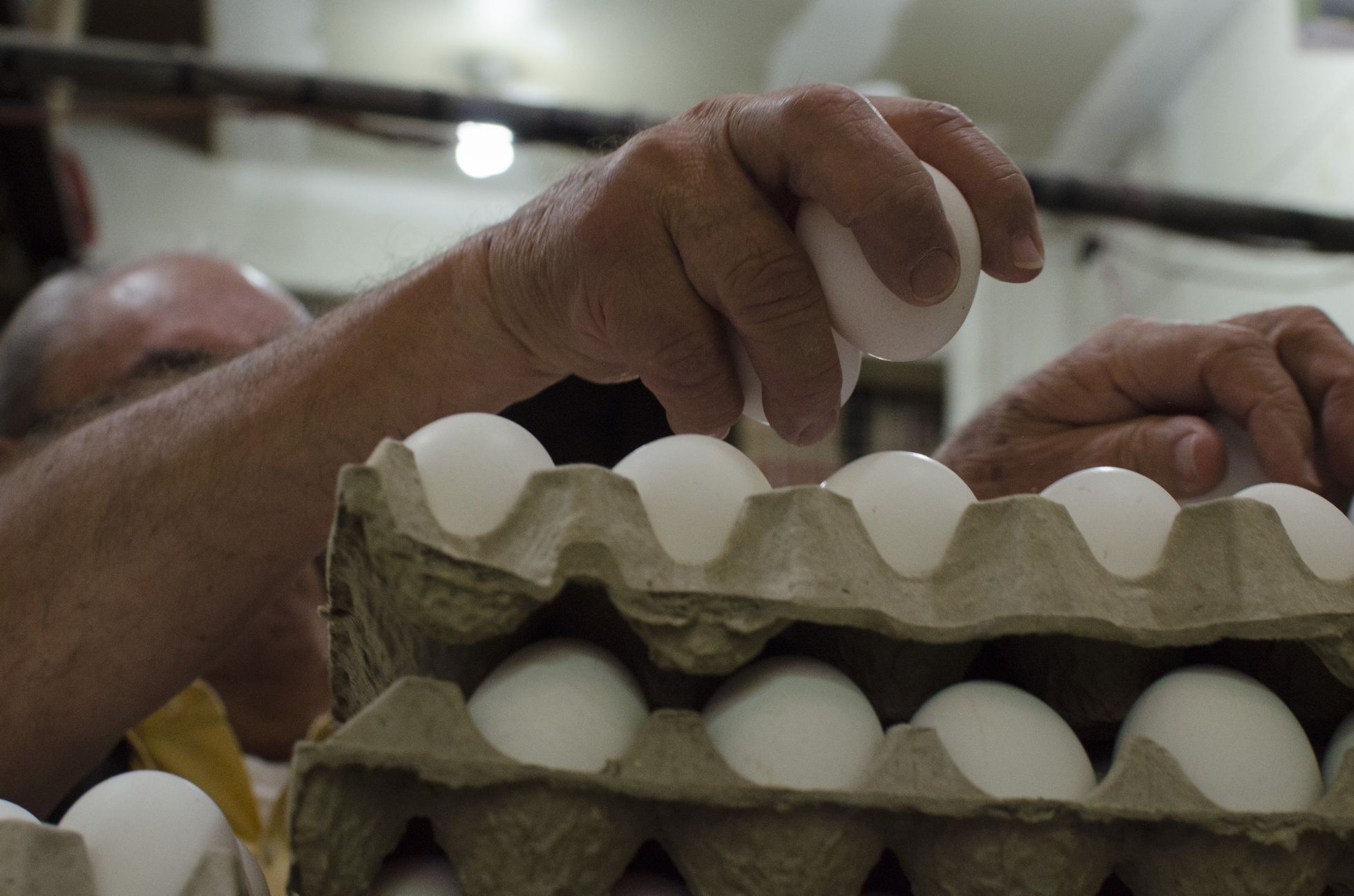 Un empleado despacha en Casa Marín, un expendio de huevo en Ciudad de México. MARÍA MARTÍNEZ (CUARTOSCURO)