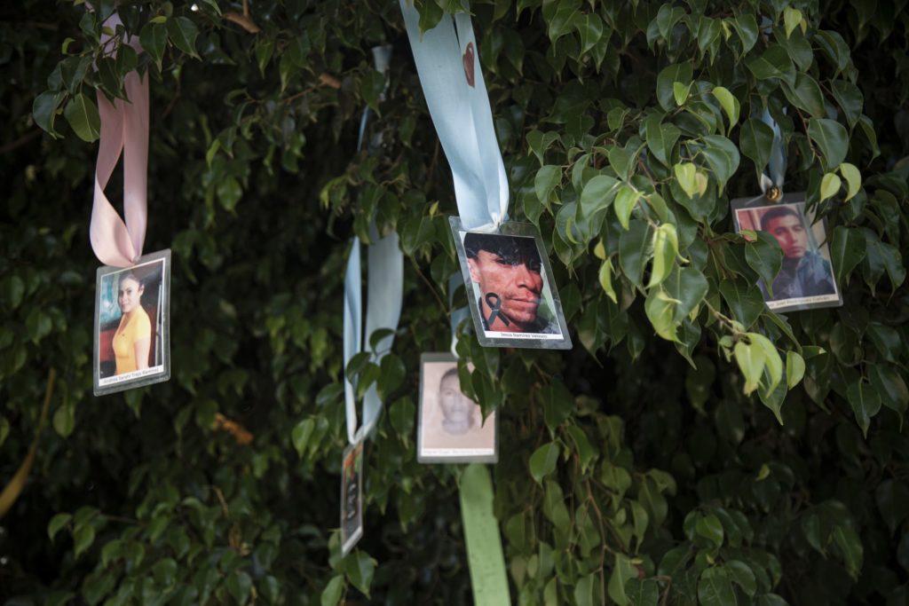 Fotografías de personas desaparecidas, en un parque de Irapuato, Guanajuato, en mayo. RODRIGO OROPEZA