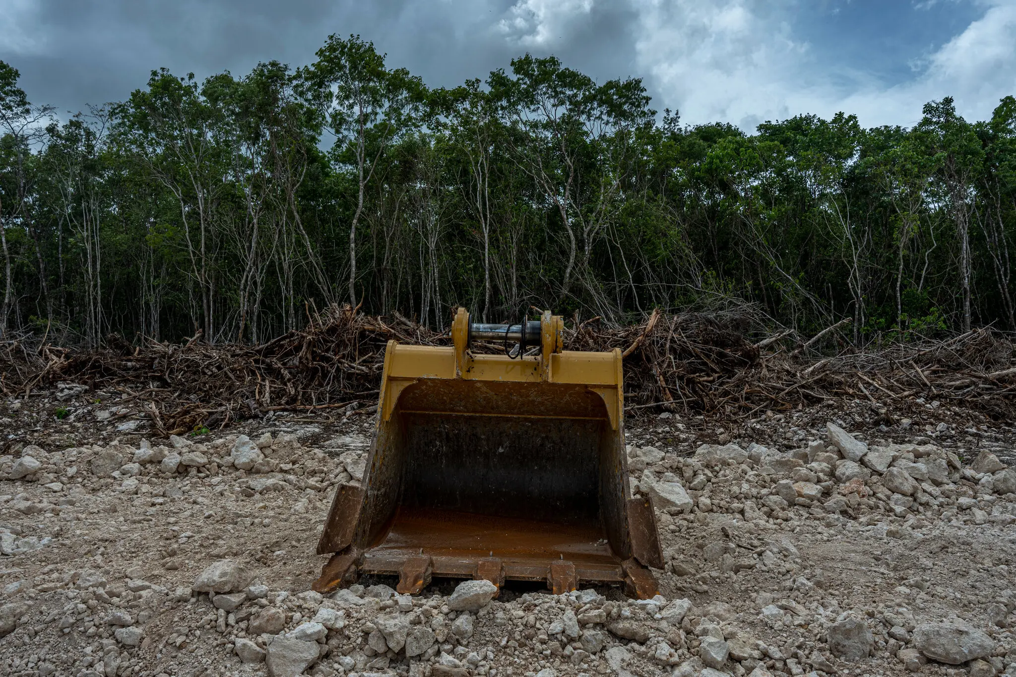 Una pala retroexcavadora abandonada en un tramo deforestado de la selva