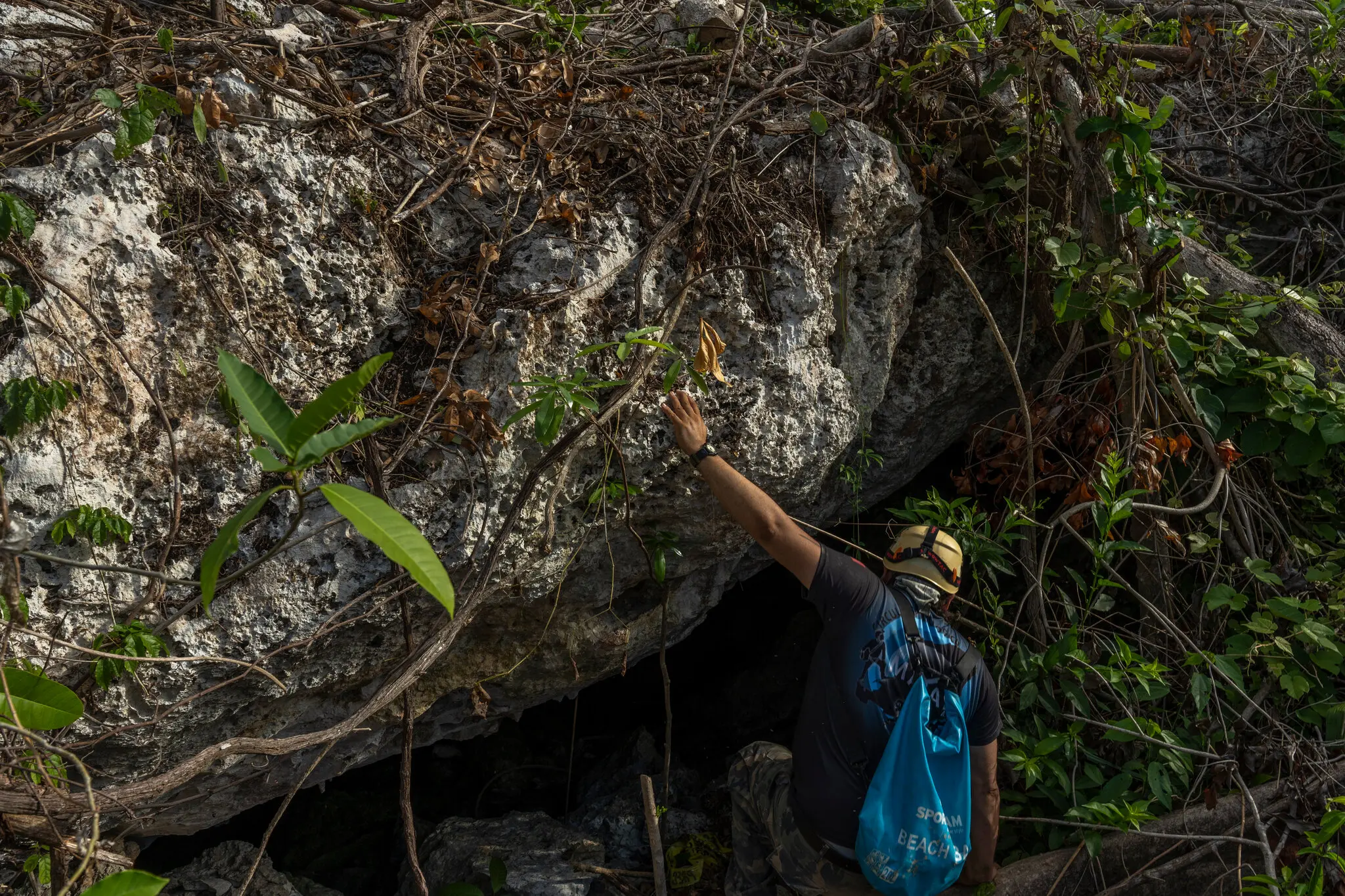 La entrada a una cueva debajo del recorrido propuesto para el Tren Maya en Playa del Carmen