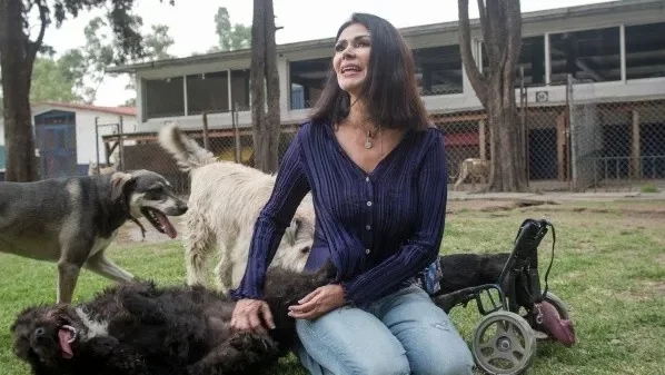 Organizaciones de Protección Animal Rechazan Candidatura de Leticia Varela en Benito Juárez