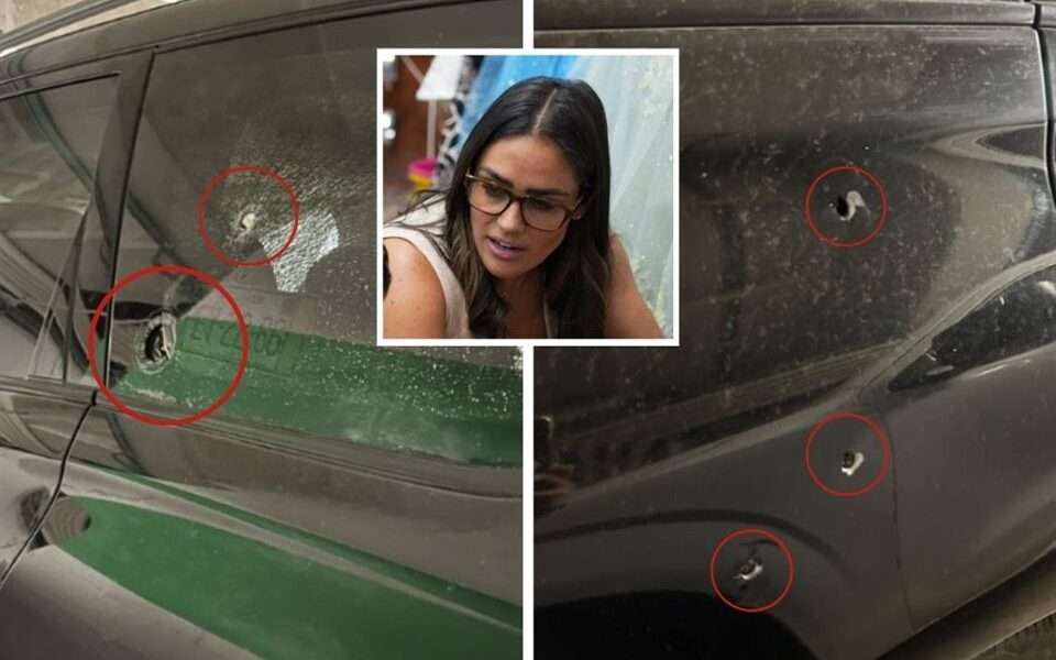 Ataque Armado Contra Alessandra Rojo de la Vega Resalta la Inseguridad en la Ciudad de México