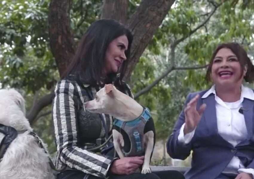 Leticia Varela: Activismo Animalista Como Escalón Político