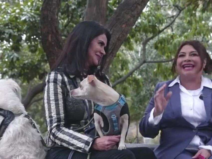 Leticia Varela: Activismo Animalista Como Escalón Político